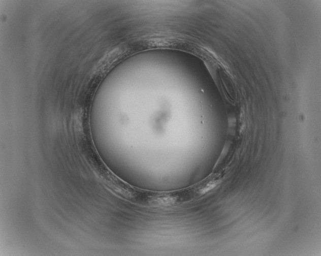 X0000070360217200606301839