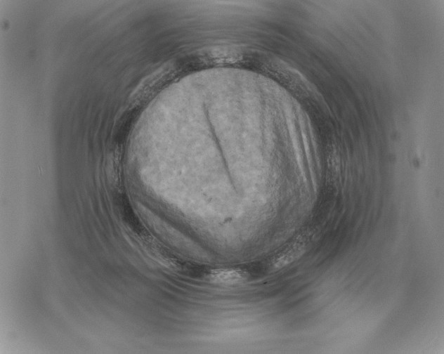 X0000070360218200606301839