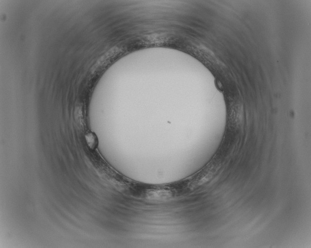 X0000070360220200606301839