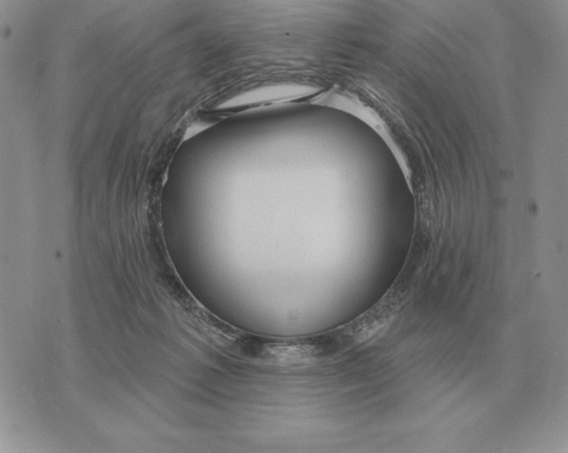 X0000070360221200606301839