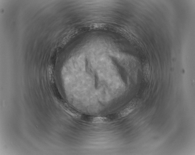 X0000070360222200606301839