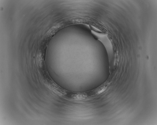 X0000070360223200606301839