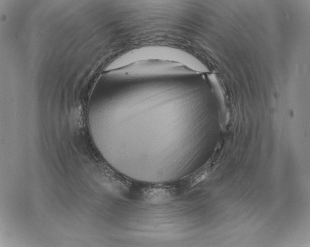 X0000070360224200606301839