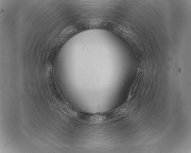 X0000070360225200606301839