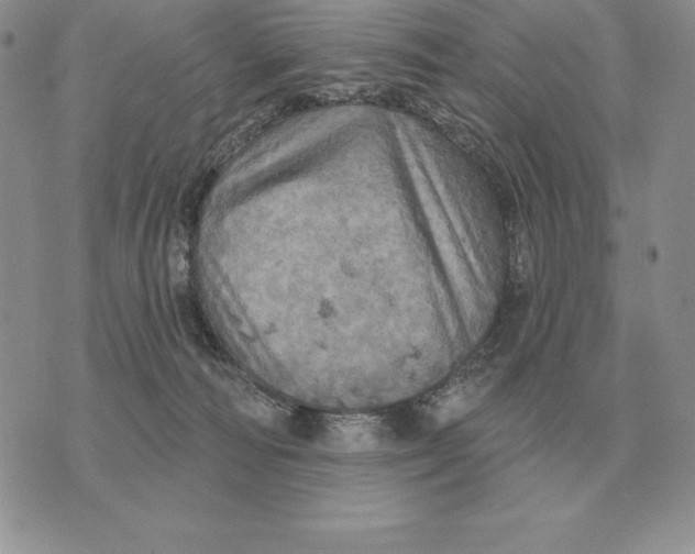 X0000070360226200606301839