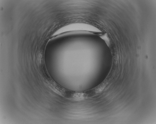 X0000070360227200606301839