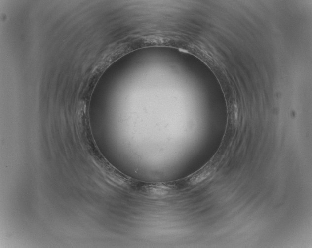 X0000070360229200606301839