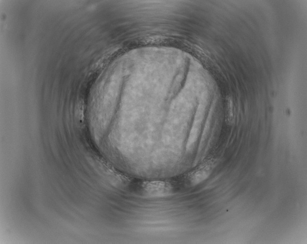 X0000070360230200606301839