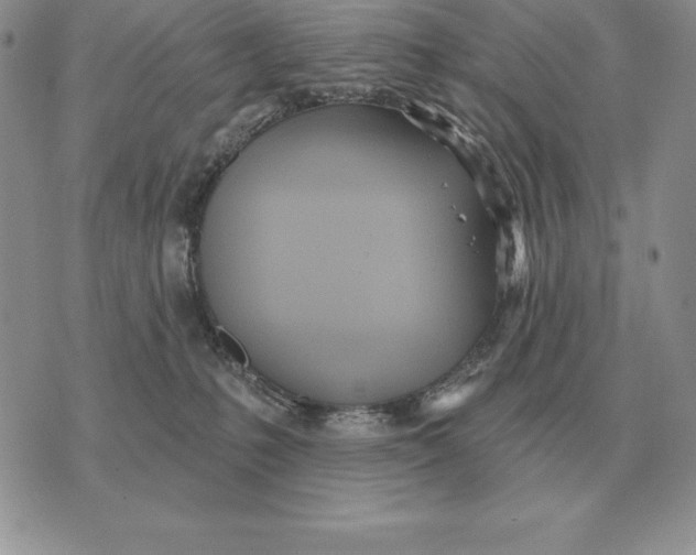 X0000070360231200606301839