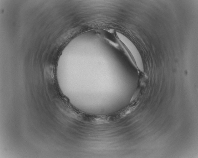 X0000070360232200606301839