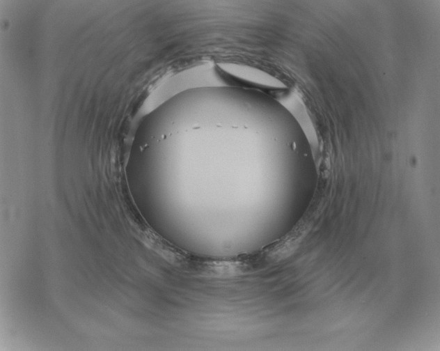 X0000070360233200606301839