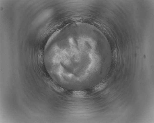 X0000070360234200606301839