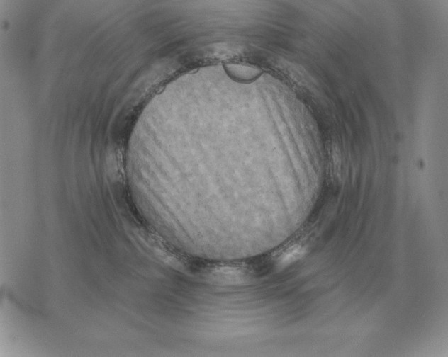 X0000070360236200606301838