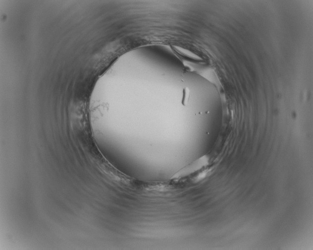 X0000070360237200606301838