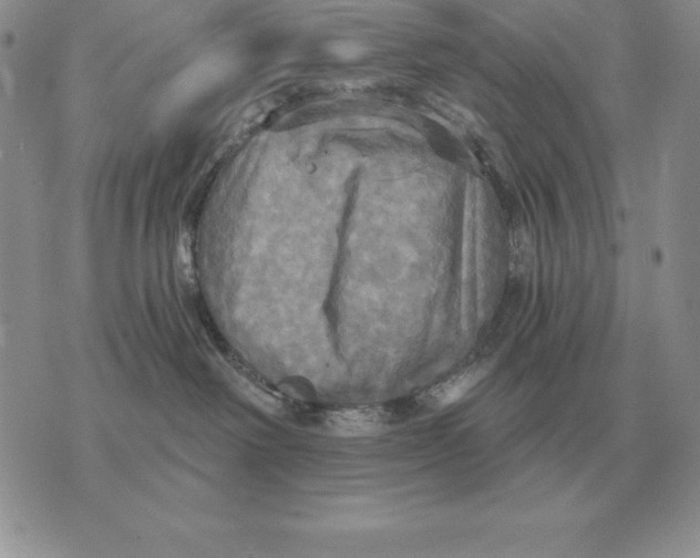 X0000070360238200606301838