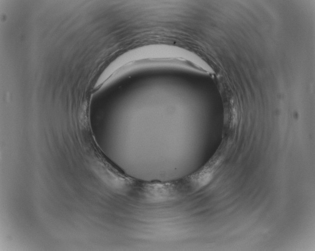 X0000070360239200606301838