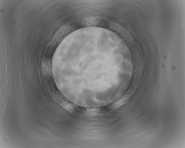 X0000070360240200606301838