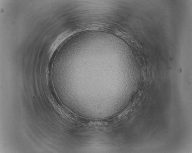 X0000070360242200606301838