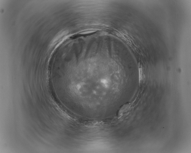 X0000070360243200606301838