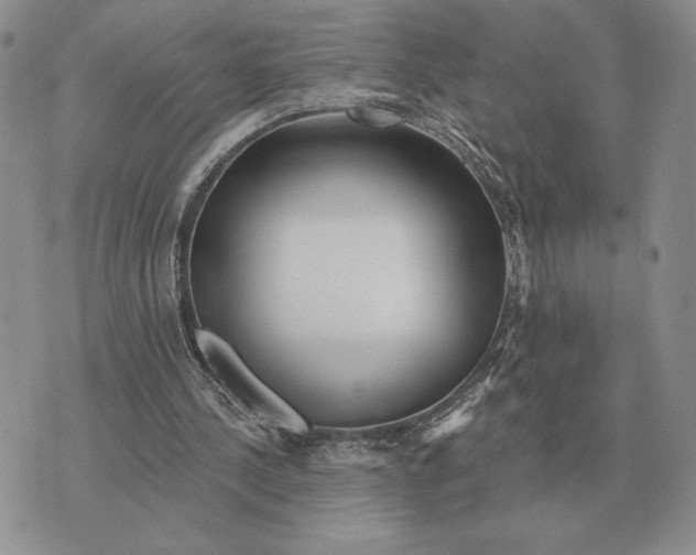 X0000070360244200606301838