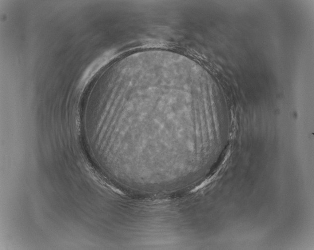 X0000070360247200606301838