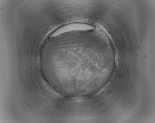 X0000070360249200606301838