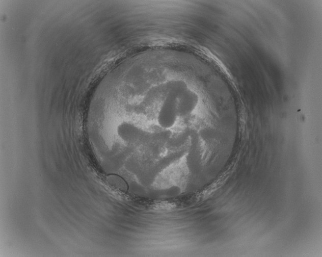 X0000070360257200606301838