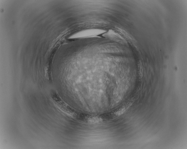 X0000070360258200606301838