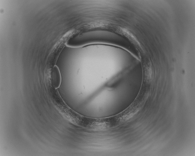 X0000070360260200606301838