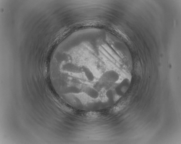 X0000070360261200606301838