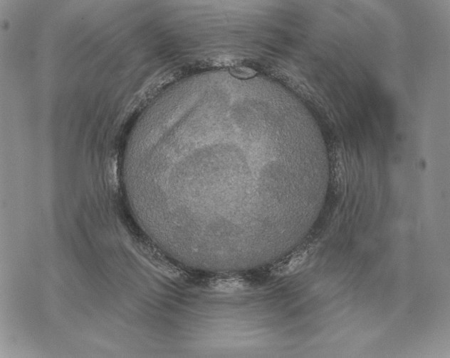 X0000070360262200606301838