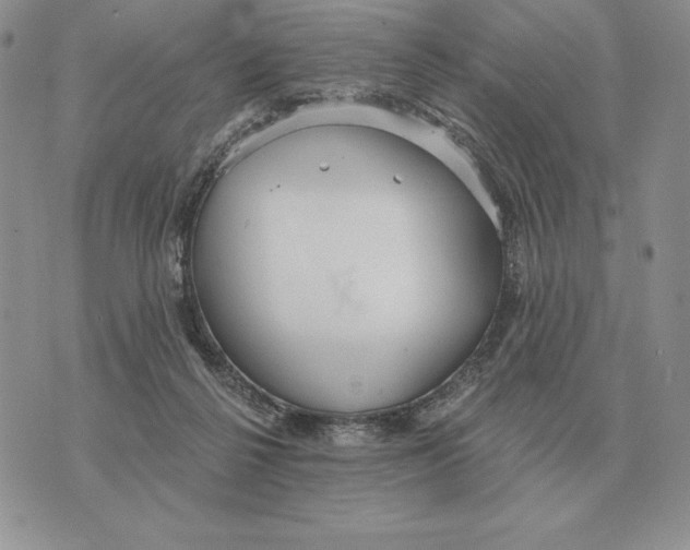 X0000070360264200606301838