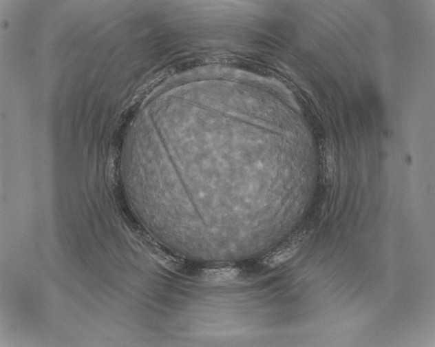 X0000070360266200606301838