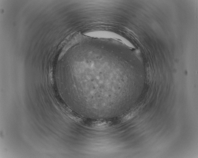 X0000070360267200606301838