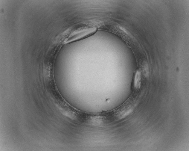 X0000070360268200606301838