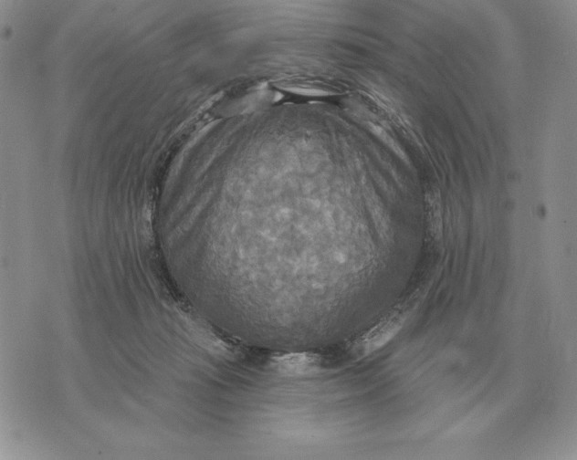 X0000070360269200606301838