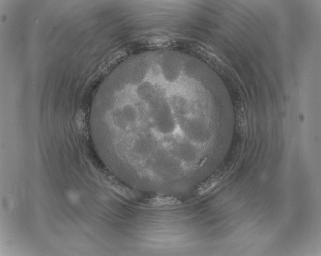 X0000070360270200606301838