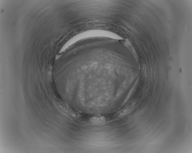 X0000070360271200606301838