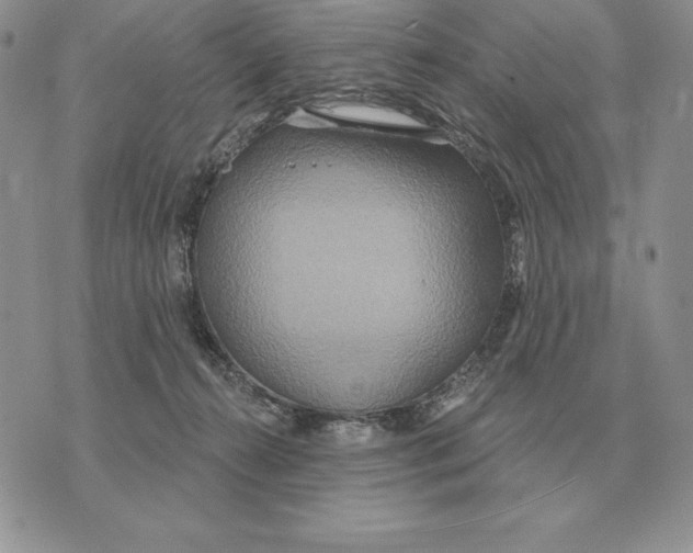 X0000070360272200606301838