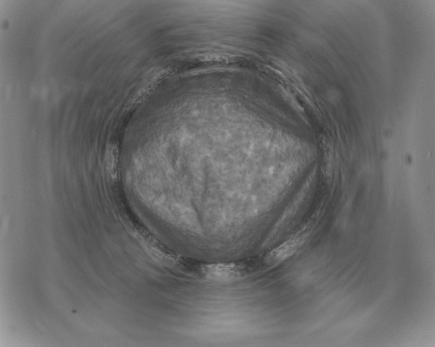 X0000070360273200606301838