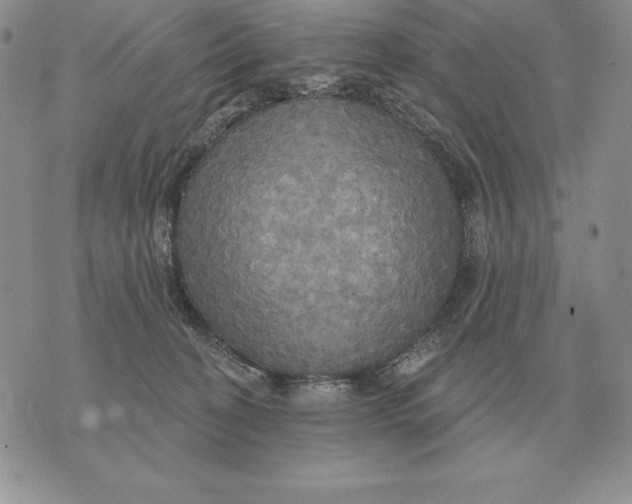 X0000070360274200606301838