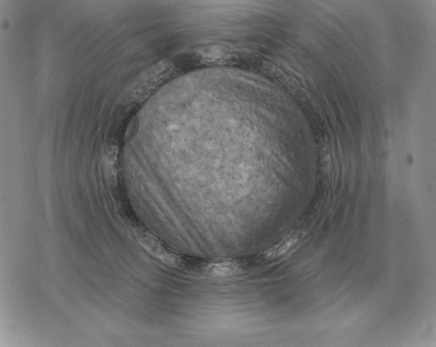 X0000070360275200606301838