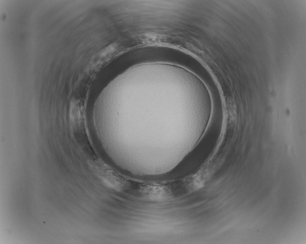 X0000070360276200606301838