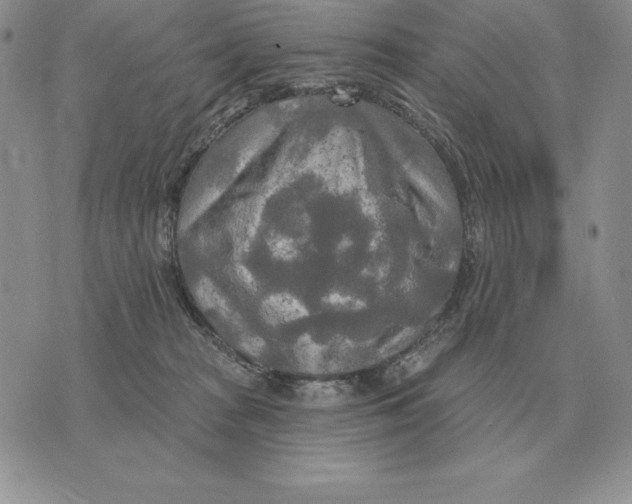 X0000070360277200606301838