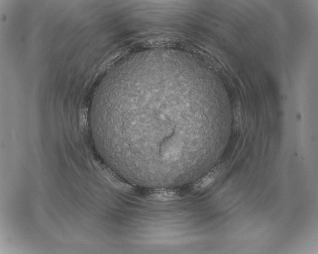 X0000070360278200606301838