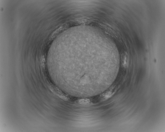 X0000070360279200606301838