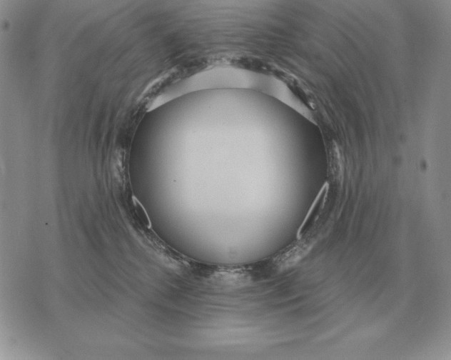 X0000070360280200606301838