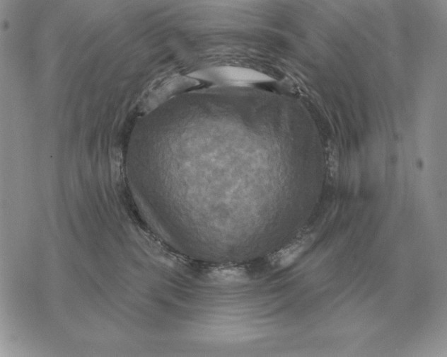 X0000070360283200606301838