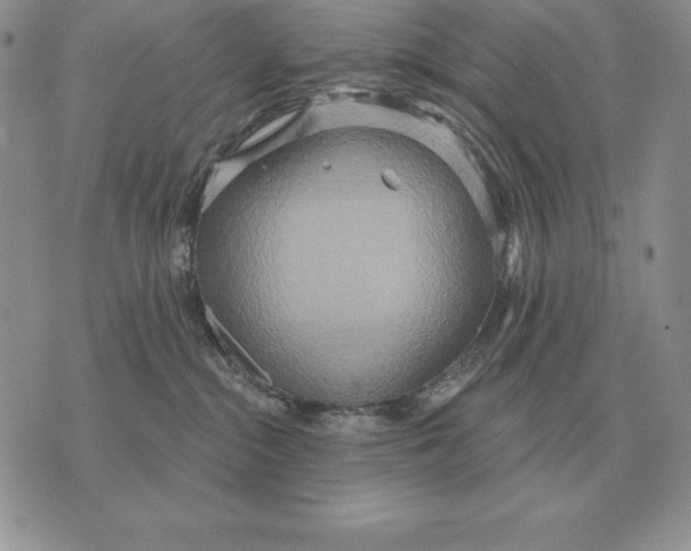 X0000070360284200606301838