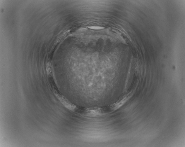 X0000070360285200606301838